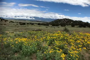 971 Co Rd 541, Gardner, CO 81040 - Photo 21