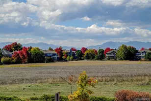 14025 Blue River Trail, Broomfield, CO 80023 - Photo 47