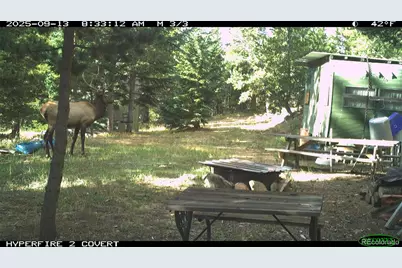00 Lamartine Road, Idaho Springs, CO 80452 - Photo 33