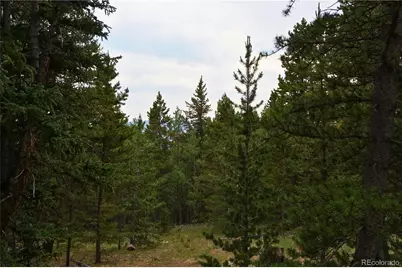 00 Lamartine Road, Idaho Springs, CO 80452 - Photo 13
