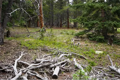 00 Lamartine Road, Idaho Springs, CO 80452 - Photo 19