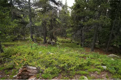 00 Lamartine Road, Idaho Springs, CO 80452 - Photo 21