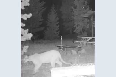 00 Lamartine Road, Idaho Springs, CO 80452 - Photo 31
