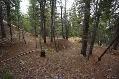00 Lamartine Road, Idaho Springs, CO 80452 - Photo 11