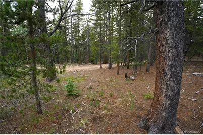 00 Lamartine Road, Idaho Springs, CO 80452 - Photo 17