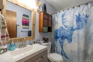 22003 Eggers Ave, Conifer, CO 80433 - Photo 9