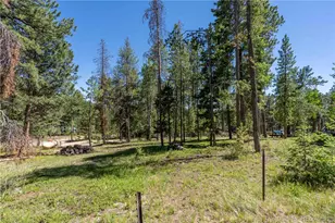 22003 Eggers Ave, Conifer, CO 80433 - Photo 19