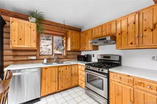 10221 Blue Sky Trail, Conifer, CO 80433 - Photo 9