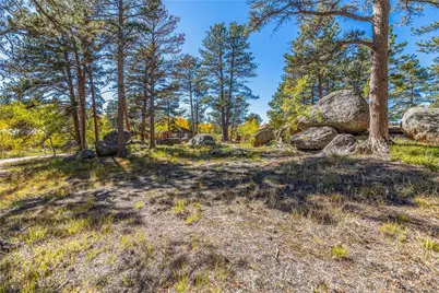 Lot 5A & 5B, Red Feather Lakes, CO 80545 - Photo 5