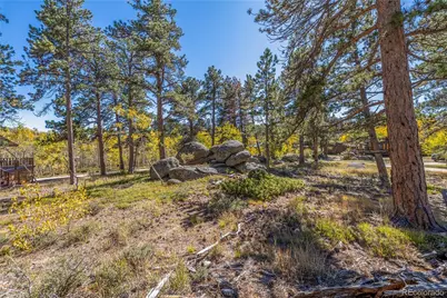 Lot 5A & 5B, Red Feather Lakes, CO 80545 - Photo 7