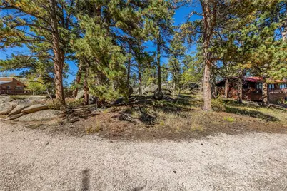 Lot 5A & 5B, Red Feather Lakes, CO 80545 - Photo 3
