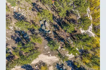 Lot 5A & 5B, Red Feather Lakes, CO 80545 - Photo 13