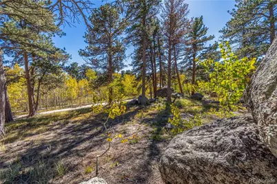 Lot 5A & 5B, Red Feather Lakes, CO 80545 - Photo 11