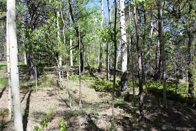 6050 Virginia Canyon Road, Central City, CO 80427 - Photo 5