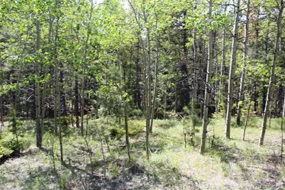 6050 Virginia Canyon Road, Central City, CO 80427 - Photo 25