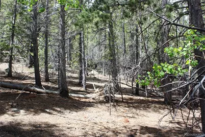 6050 Virginia Canyon Road, Central City, CO 80427 - Photo 31
