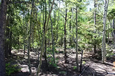 6050 Virginia Canyon Road, Central City, CO 80427 - Photo 3