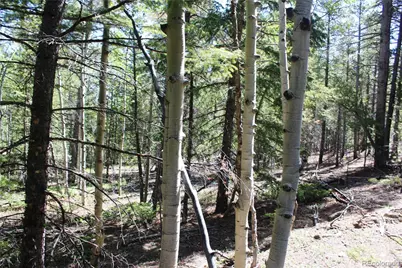 6050 Virginia Canyon Road, Central City, CO 80427 - Photo 7