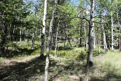 6050 Virginia Canyon Road, Central City, CO 80427 - Photo 13