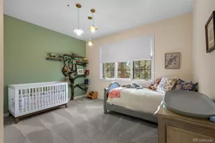 467 Lorraway Dr, Castle Rock, CO 80108 - Photo 29
