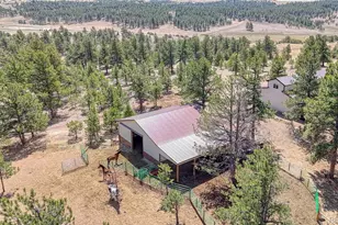 4701 Co Rd 323, Westcliffe, CO 81252 - Photo 43