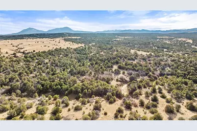 Lot 31 County Rd 521, Walsenburg, CO 81089 - Photo 21