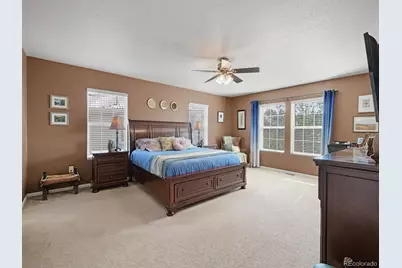 1752 Hogan Court, Castle Rock, CO 80109 - Photo 21