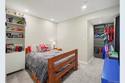 1752 Hogan Court, Castle Rock, CO 80109 - Photo 33
