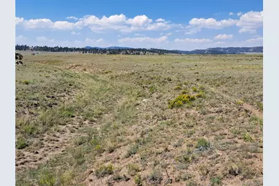 780 Ute Trace, Hartsel, CO 80449 - Photo 5