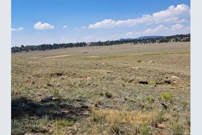 780 Ute Trace, Hartsel, CO 80449 - Photo 19