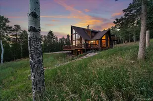 13094 Molly Dr, Conifer, CO 80433 - Photo 43