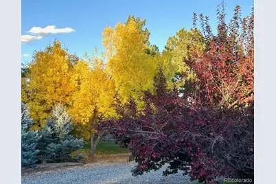 5041 Juniper Street, Littleton, CO 80123 - Photo 43