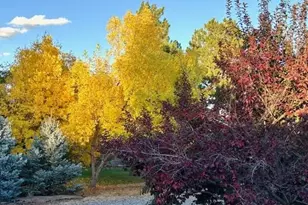 5041 Juniper St, Littleton, CO 80123 - Photo 43