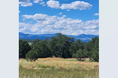 739 17th Trail, Cotopaxi, CO 81223 - Photo 15