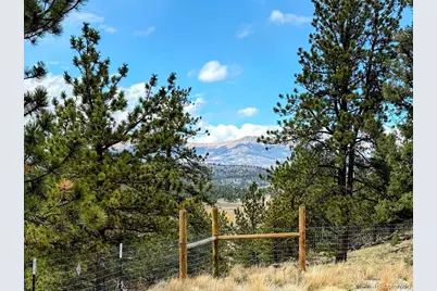 3330 Singletree Road, Hartsel, CO 80449 - Photo 1