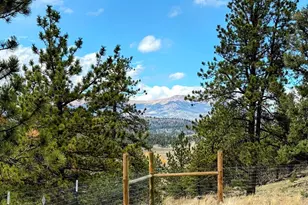 3330 Singletree Rd, Hartsel, CO 80449 - Photo 1