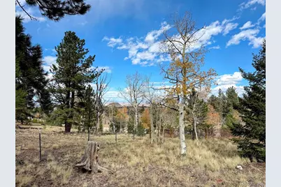 3330 Singletree Road, Hartsel, CO 80449 - Photo 17