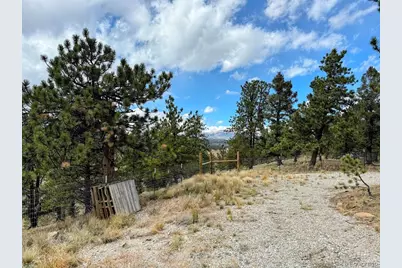 3330 Singletree Road, Hartsel, CO 80449 - Photo 13