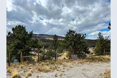 3330 Singletree Road, Hartsel, CO 80449 - Photo 23