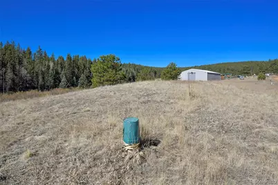 169 Saddleback Creek Drive, Florissant, CO 80816 - Photo 21