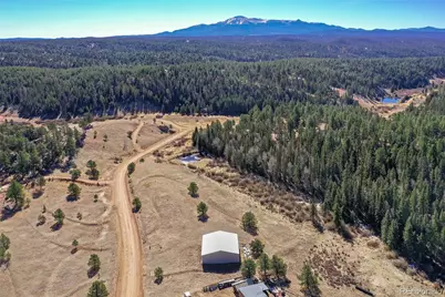 169 Saddleback Creek Drive, Florissant, CO 80816 - Photo 7