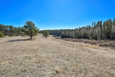 169 Saddleback Creek Drive, Florissant, CO 80816 - Photo 13