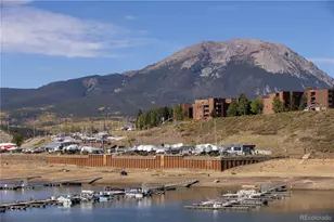 614 Tenderfoot St, Dillon, CO 80435 - Photo 3