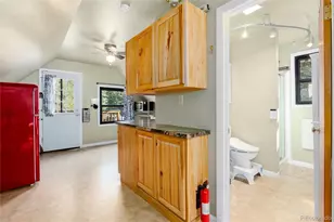 403 Fall River Rd, Idaho Springs, CO 80452 - Photo 19