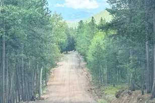 227 Ouray Rd, Evergreen, CO 80439 - Photo 35