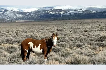 16383 Peacock Road, San Luis, CO 81152 - Photo 31