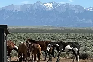 16383 Peacock Rd, San Luis, CO 81152 - Photo 33