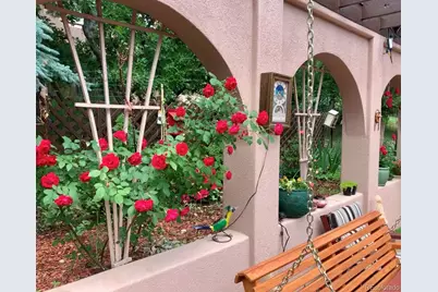 10561 Harebell Run, Littleton, CO 80125 - Photo 7