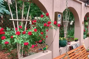 10561 Harebell Run, Littleton, CO 80125 - Photo 7