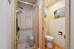 10561 Harebell Run, Littleton, CO 80125 - Photo 27